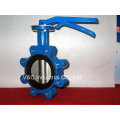 Lug Type Butterfly Valve with Worm Gear Box